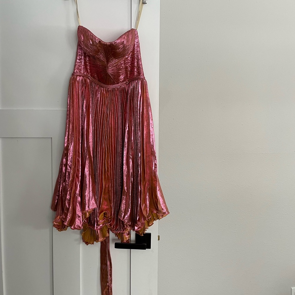 Maria Lucia Hohan pink dress